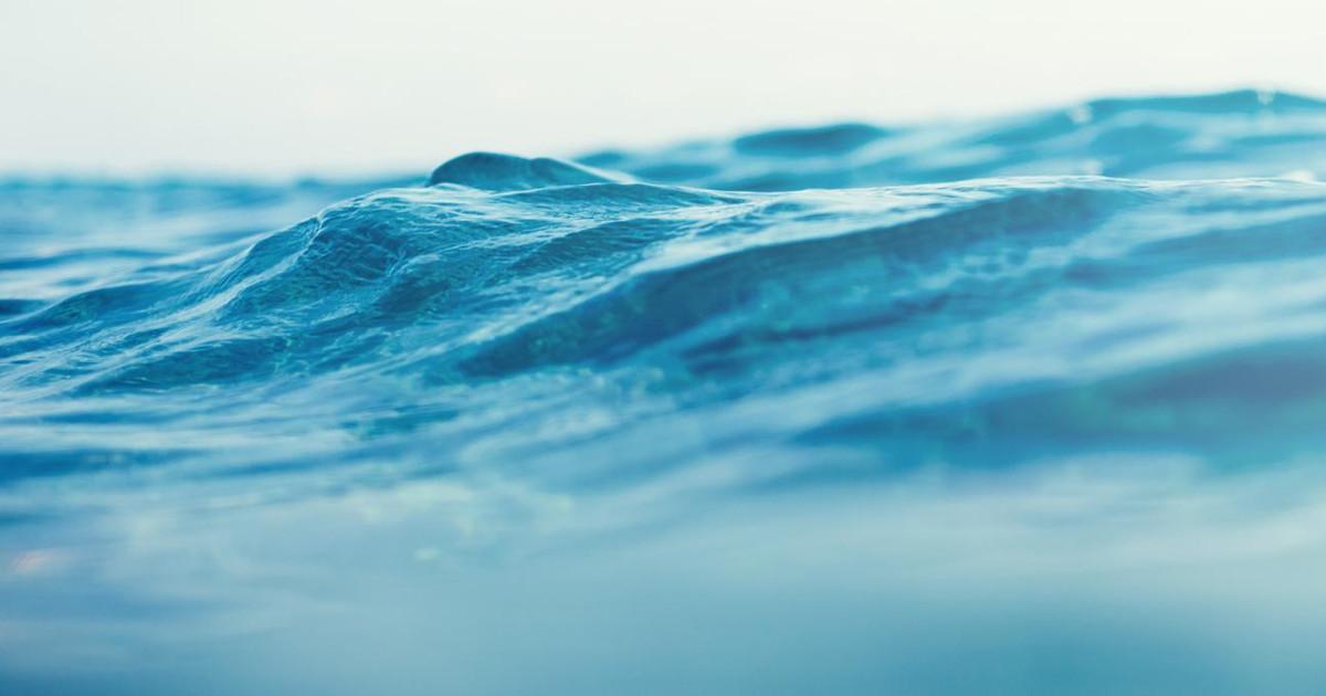 イタリア系断捨離中さま専用】シモネリ最新モデル 浄水器おまけ付き
